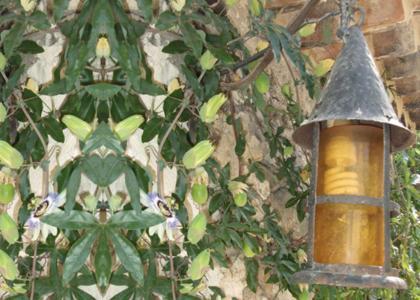 Mas Bella Cortis Bed & Breakfast La Garde Adhemar Exterior photo